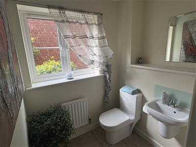Picture 16